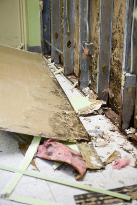 Why House Flipping TV Shows Can Be Hazardous to Your Health