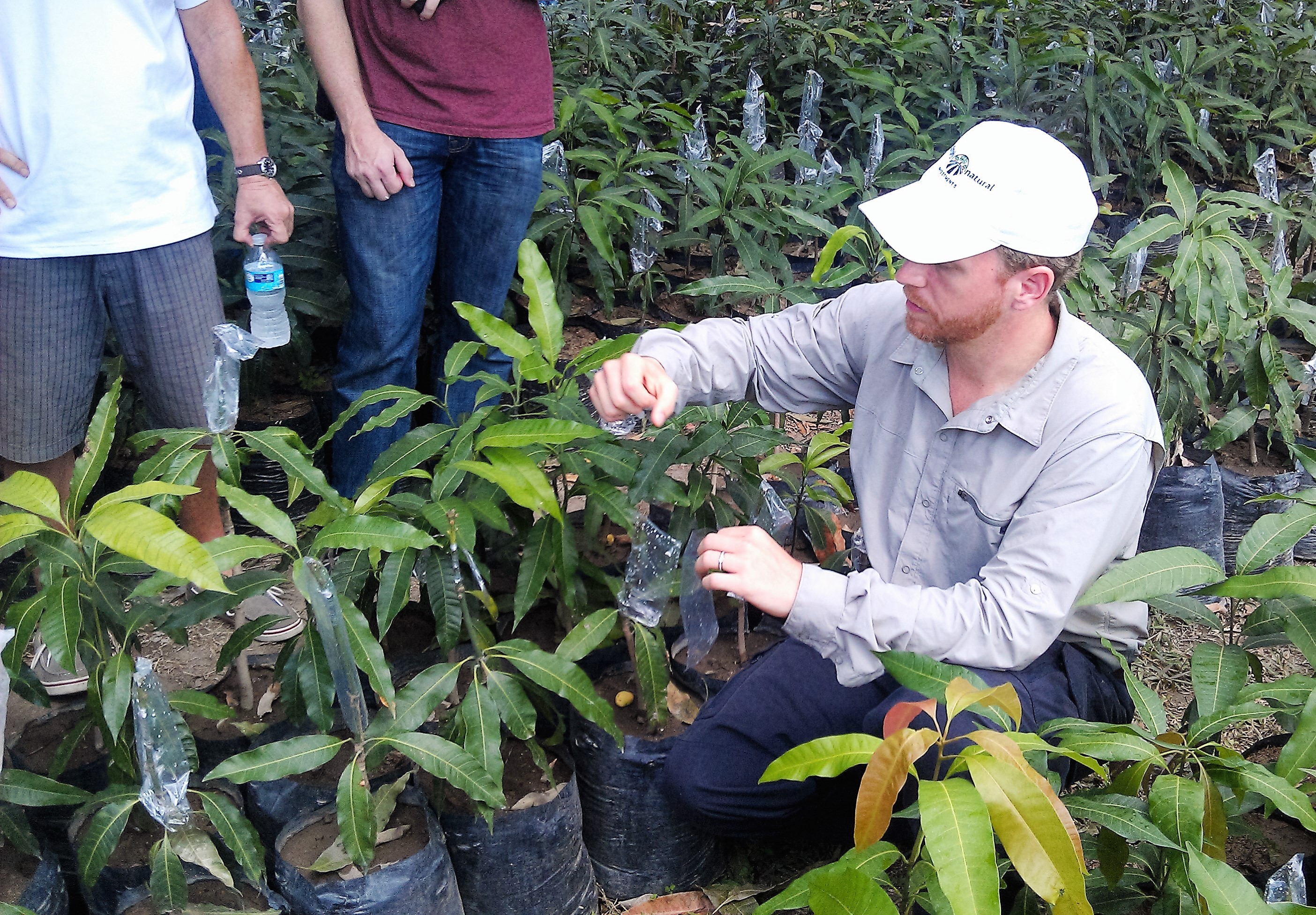 How Bill Bought a Mango Farm in Panama with His Self-Directed IRA